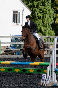 Class 3 -  Fences not above 2'3